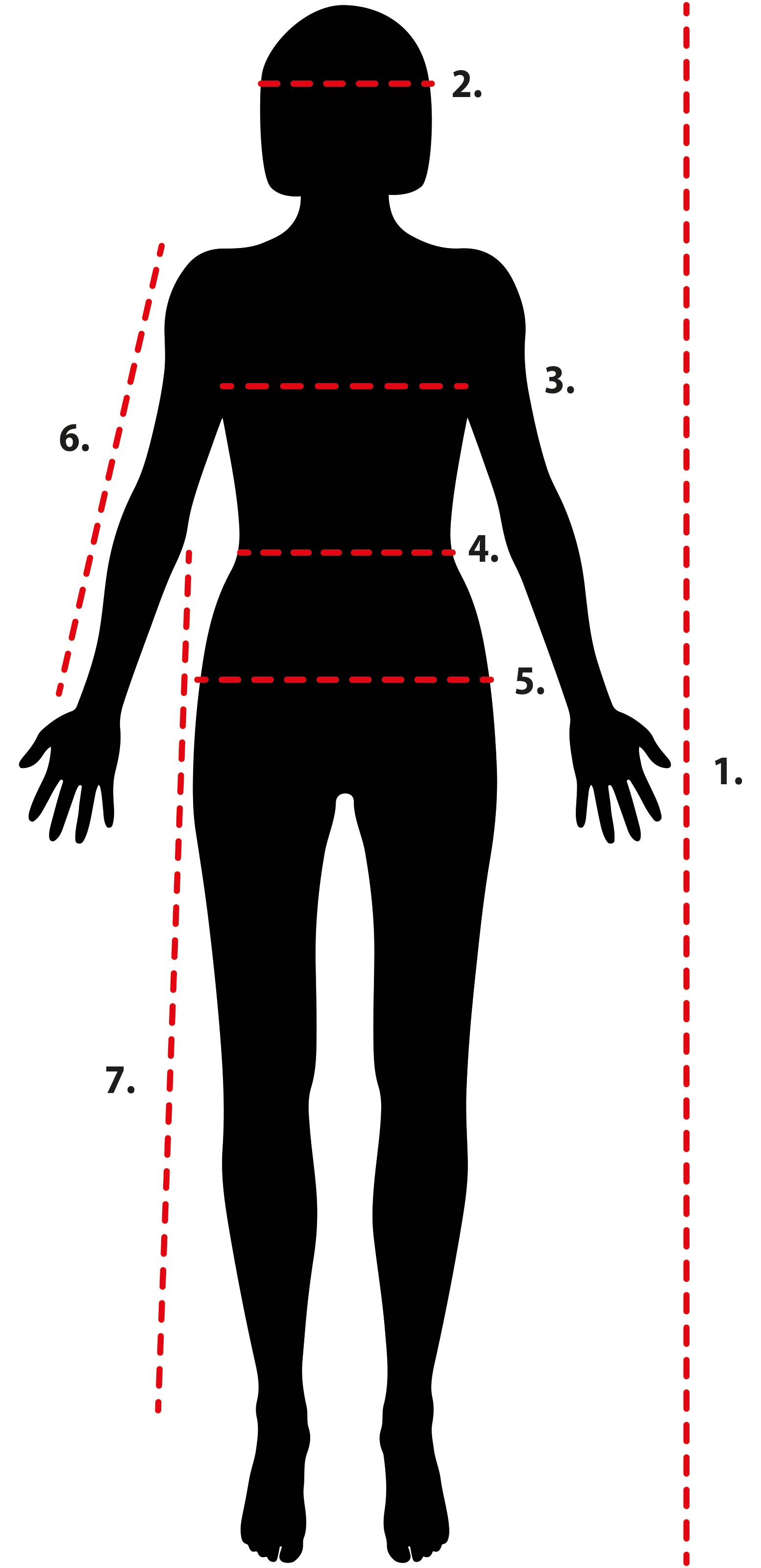 silueta 1